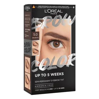 Loreal Paris - Tintura de sobrancelha semipermanente Brow Color - 5.0: Brunette