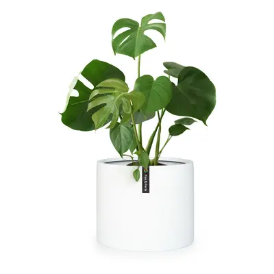 Fox & Fern Vaso suporte para plantas de pedra de fibra In/Outdoor