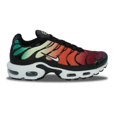 Nike Air Max Plus TN Rainbow