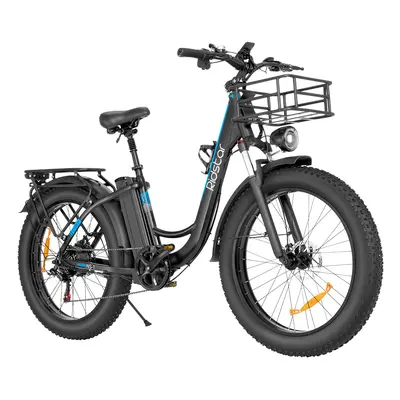 Motor Ridstar MN26 Bicicleta Elétrica 750W