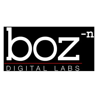 Boz Digital Labs - The Wall VST PC/MAC CD Key