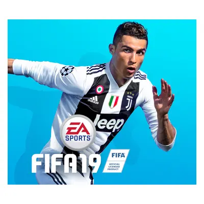 FIFA 19 EN/PL Languages Only Origin CD Key