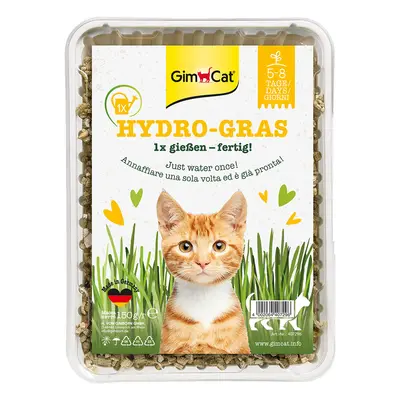 GimCat Hydro-Gras erva para gatos - 150 g