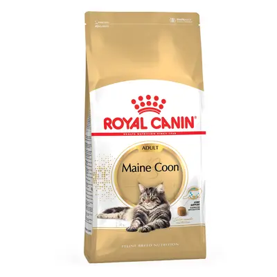 Royal Canin Maine Coon Adult - Pack económico: 2 x 10 kg