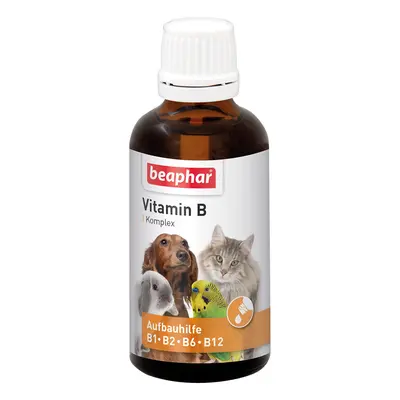 Beaphar vitamina B para cães e gatos - 50 ml