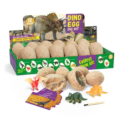 Dinosaur Eggs Archaeological Excavation Toys