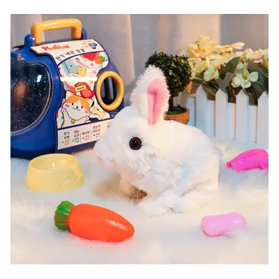 Bunny Toys Educational Interactive Toys Bunnies Can Walk and Talk