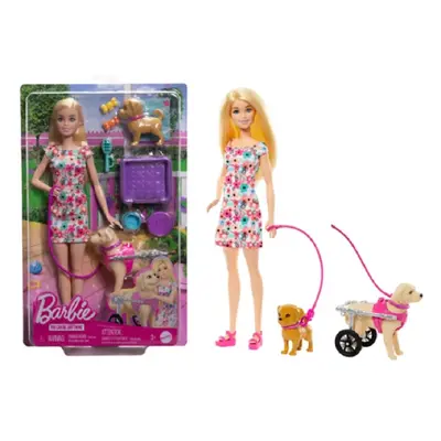 Boneca Barbie Passeia O Cão Doente