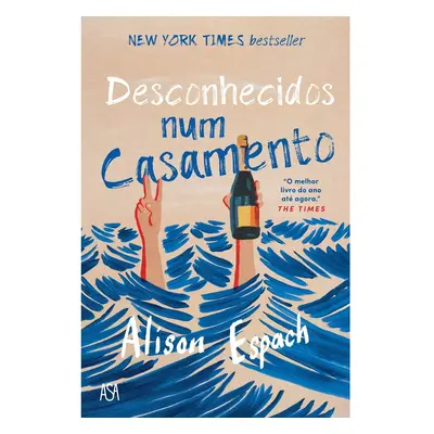 Livro Desconhecidos Num Casamento De: Alison Espach