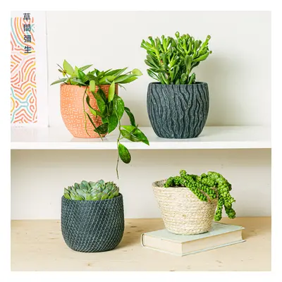 Conjunto Eden 4 Plantas