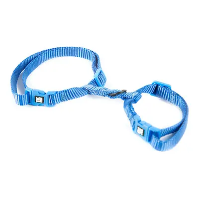 TK-Pet Classic Arnês Ajustável de Nylon Azul para gatos