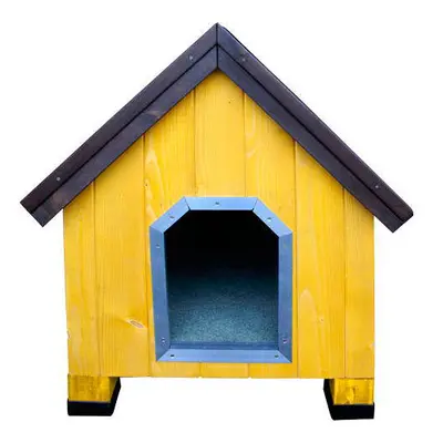 TK-Pet Alpine Casota de Madeira Amarela para cães