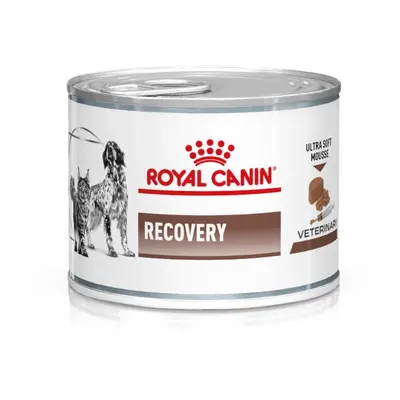 24 latas x 195 g Royal Canin Veterinary Recovery lata para gatos Pack poupança!