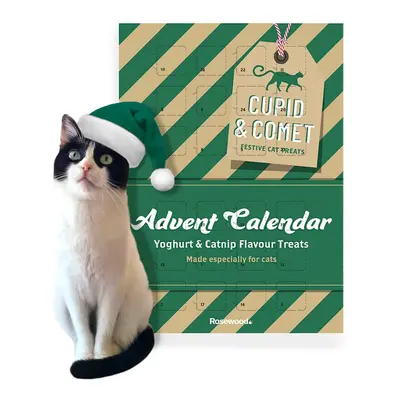 0.07 KG Rosewood Calendário do Advento para gato