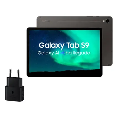 Samsung Galaxy Tab S9 WiFi 12GB/256GB Cinzento + Carregador