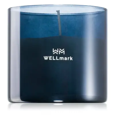 Wellmark Brave Night vela perfumada