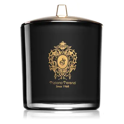 Tiziana Terenzi Black XIX March vela perfumada com pavio de madeira