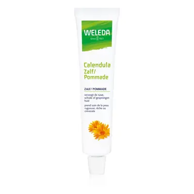 Weleda Calendula Ointment pomada para pele muito seca