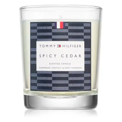 Tommy Hilfiger Home Collection Spicy Cedar vela