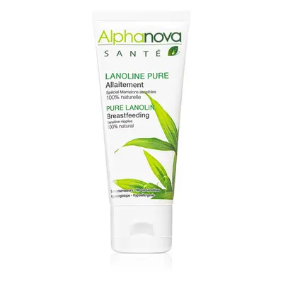 Alphanova Organic Mum pomada com lanolina para mamilos