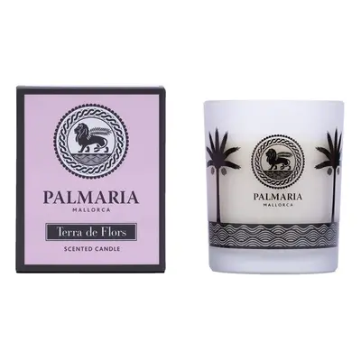 Palmaria - Vaso Terra De Flores Vela 130 Gr