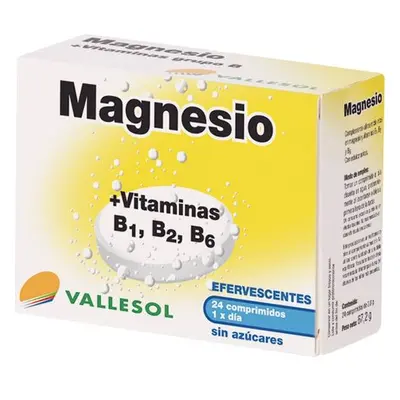 Vallesol Magnesio + Vitaminas B1, B2 y B6 24 und Suplemento Vitanimic